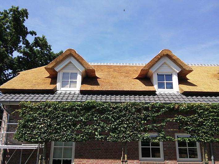 Referentie Rietdekkersbedrijf Molenaar: rieten dak woonboerderij Oss