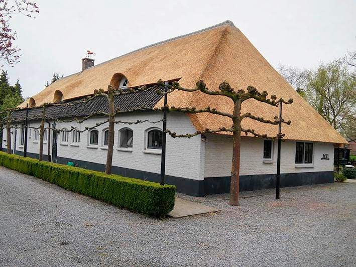 Referentie Rietdekkersbedrijf Molenaar: rieten dak woonboerderij Veghel