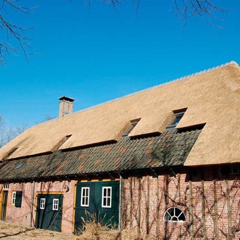 Referentie Rietdekkersbedrijf Molenaar: rieten dak woonboerderij Nuland