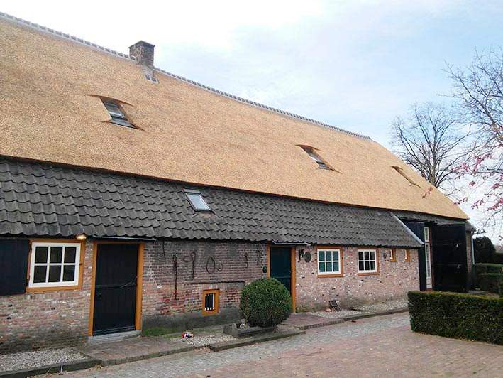 Referentie Rietdekkersbedrijf Molenaar: rieten dak woonboerderij Den Dungen