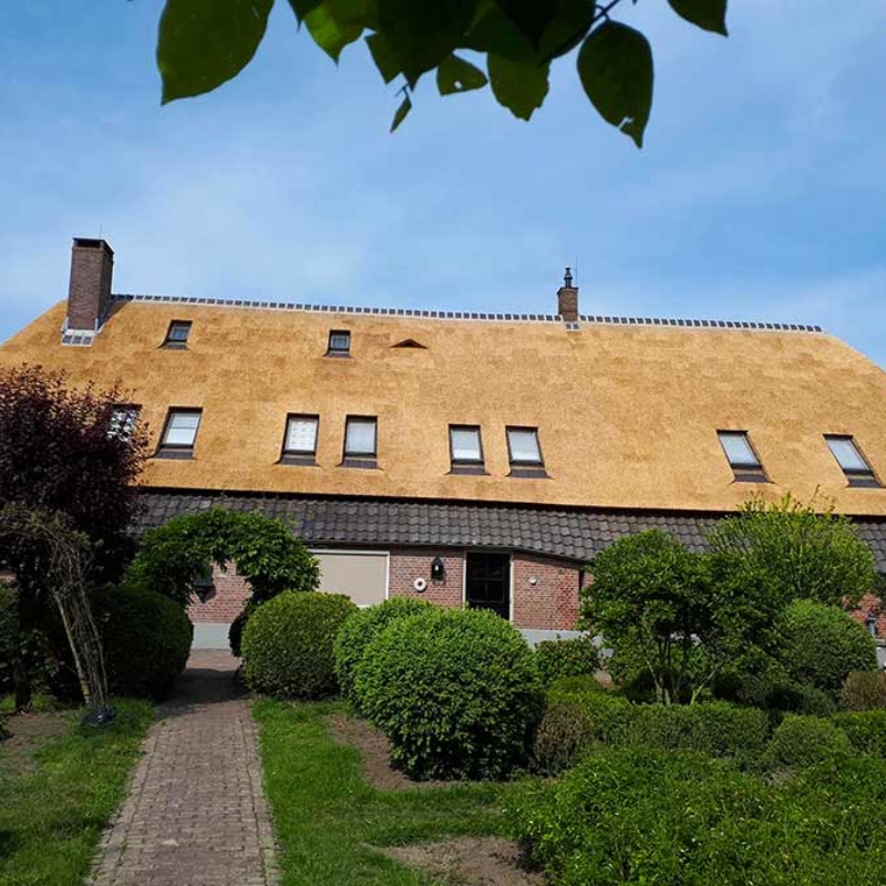 Referentie Rietdekkersbedrijf Molenaar: rieten dak woonboerderij Ravenstein