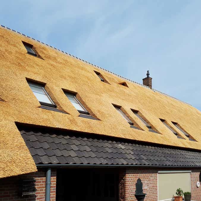 Referentie Rietdekkersbedrijf Molenaar: rieten dak woonboerderij Ravenstein