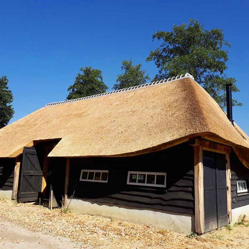 Referentie Rietdekkersbedrijf Molenaar: rieten dak bijgebouw Volkel